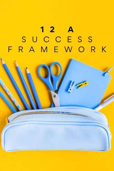 12 A Success Framework