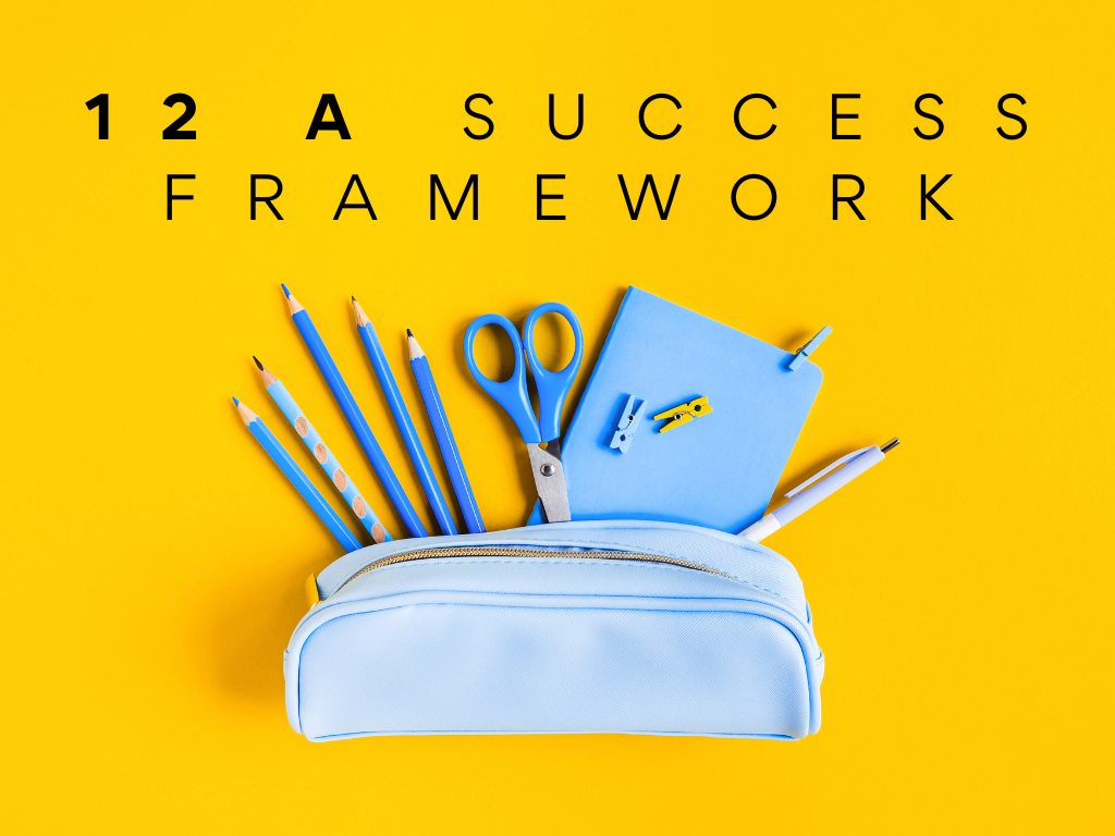 12 A Success Framework