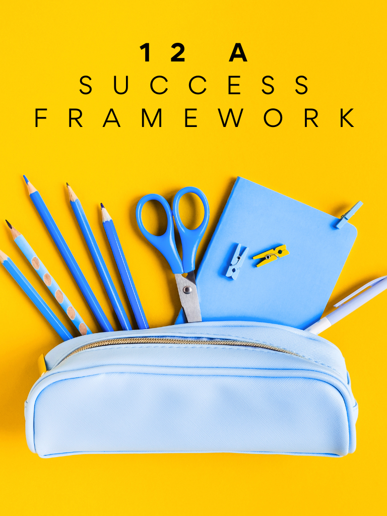 12 A Success Framework